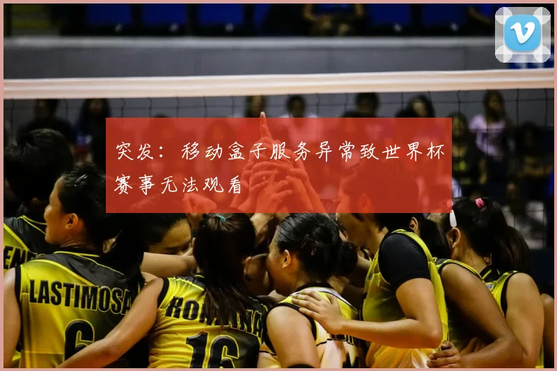 突发:移动盒子服务异常致世界杯赛事无法观看
