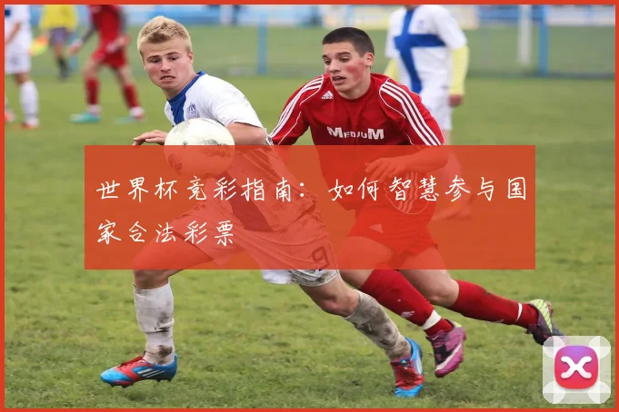 世界杯竞彩指南：如何智慧参与国家合法彩票