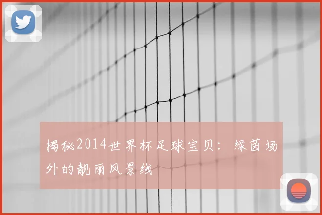 揭秘2014世界杯足球宝贝:绿茵场外的靓丽风景线