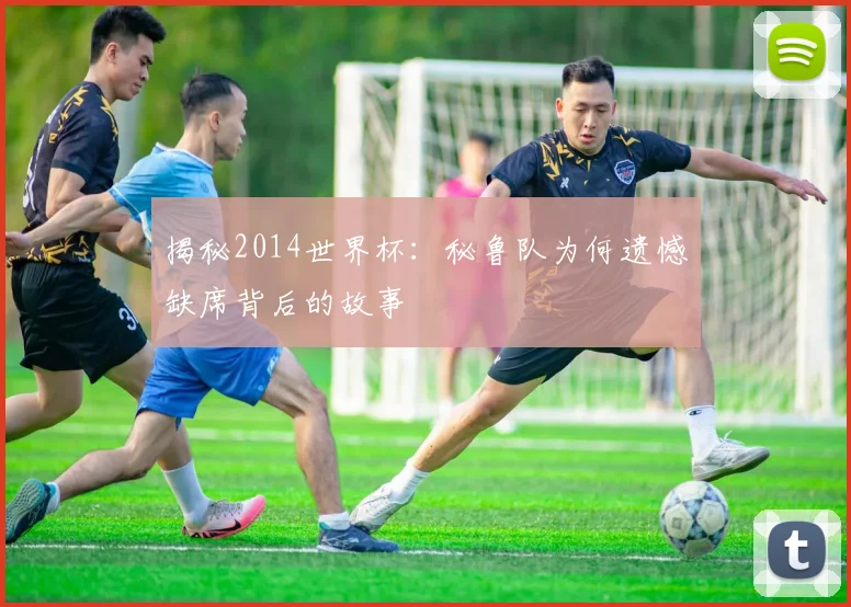 揭秘2014世界杯:秘鲁队为何遗憾缺席背后的故事