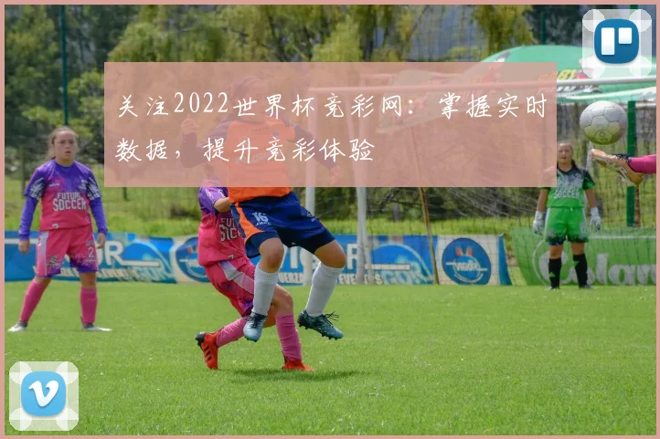 关注2022世界杯竞彩网:掌握实时数据,提升竞彩体验