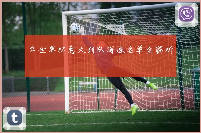 年世界杯意大利队海选名单全解析